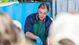 Raise em' right or pay twice – Vet-focused session and livestream